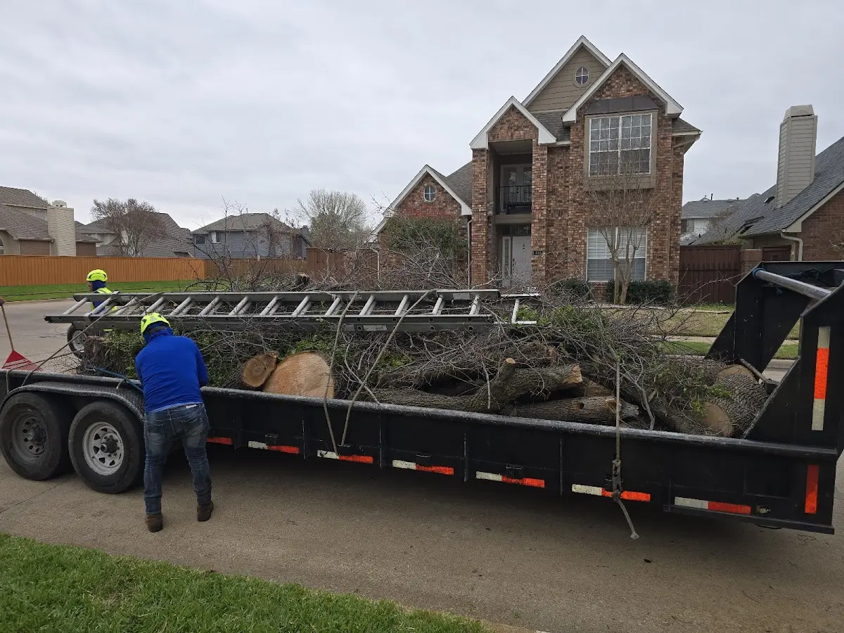 Expert Tree Fertilization with proper safety equipment in Odessa